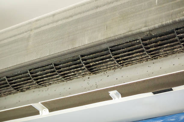 Best Local Air Duct Cleaning Services  in Perryman, MD